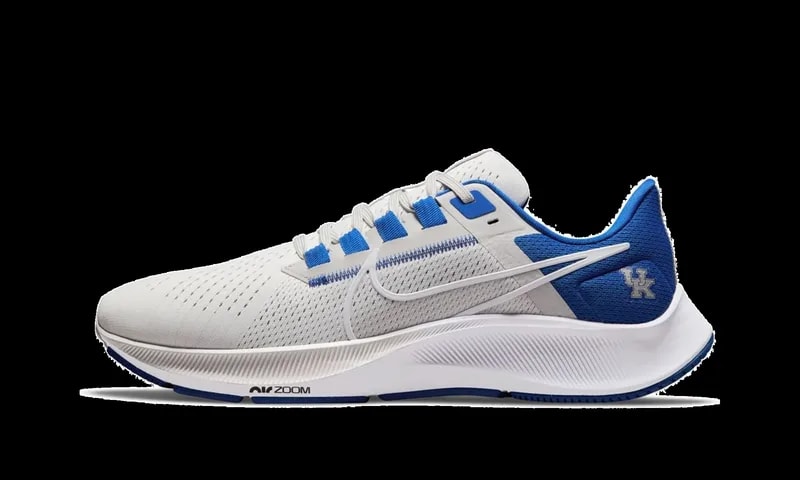 Air Zoom Pegasus 38 " DJ0830 001 4