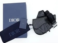 Dior Galaxy Saddle 2