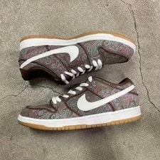 10.0US Nike Sb Dunk Low Prm Dh7534-200 2