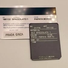 Prada Chain Wallet Camouflage Auth 3