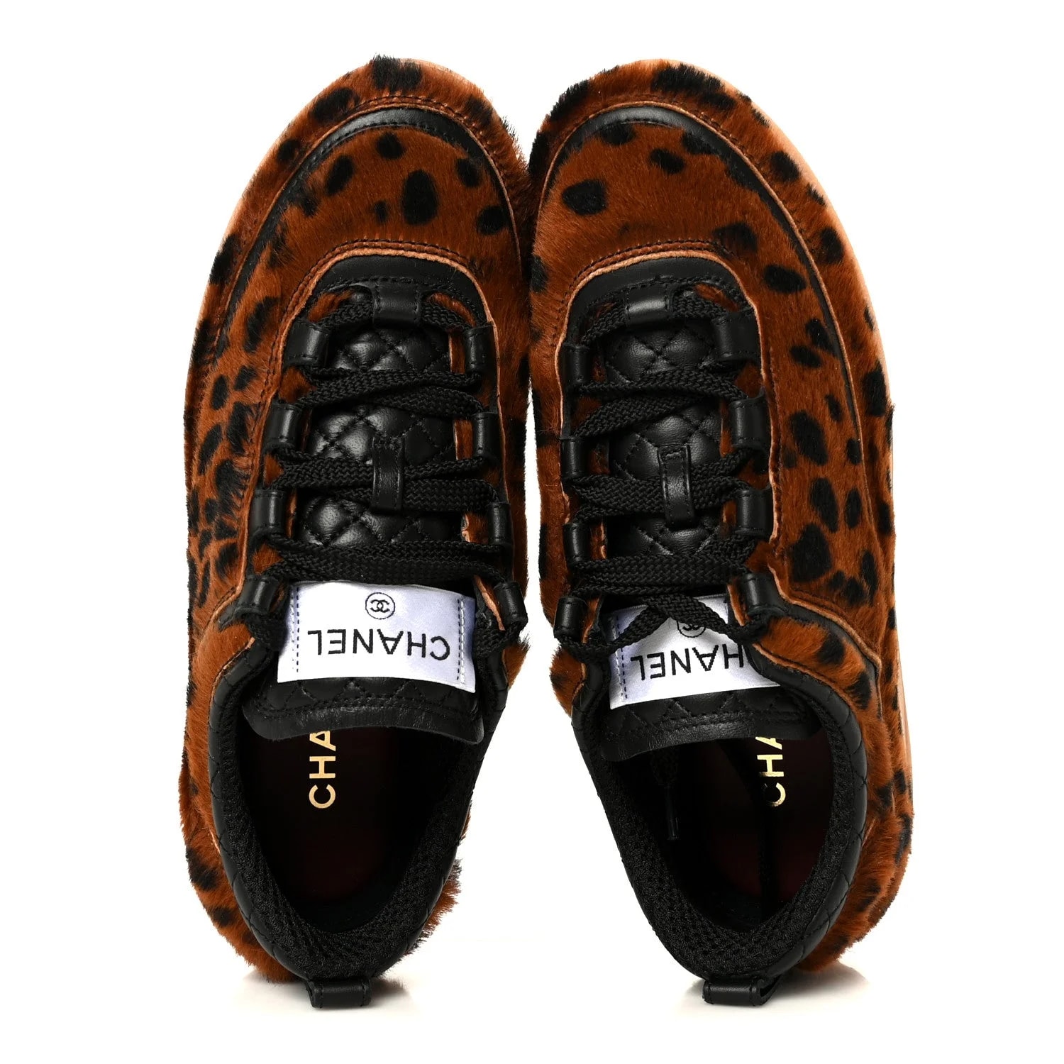 Cheetah Print 38 37 2