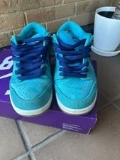 9.0US Nike Sb Dunk Low Pro Furybq6817-400 2