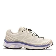 L47582700 Salomon XT-6 Almond Milk Cloud Liberty () 3