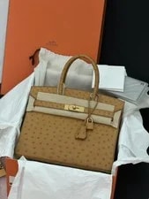Auth Hermès Birkin 30 Exotic 2