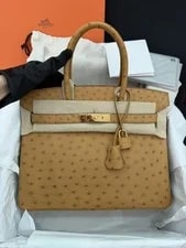 Auth Hermès Birkin 30 Exotic 4