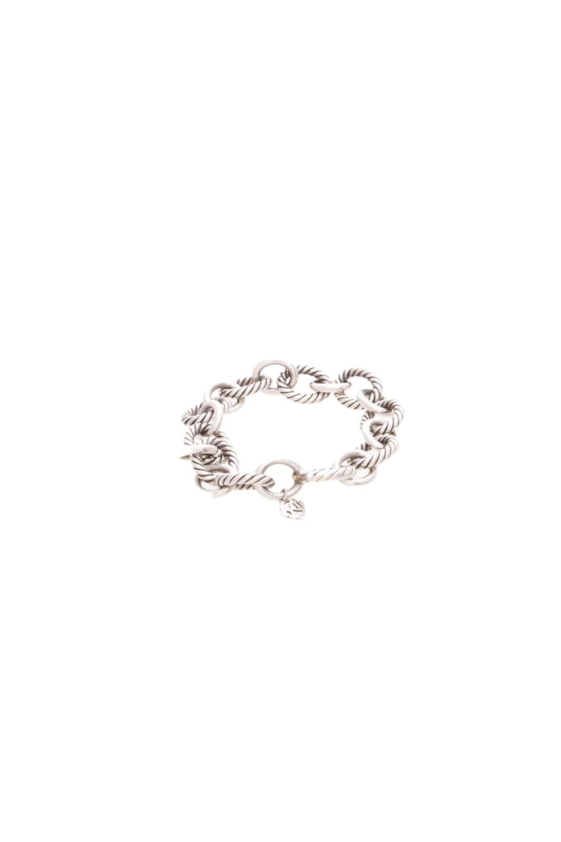 Oval Link Chain 3