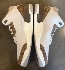 Jordan 3 Palomino Size 11.5 With Box Excellent Condition CT8532-102 4