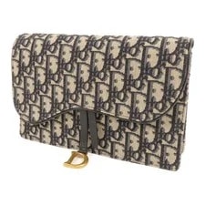 Christian Dior CD GHW Saddle Wallet on Chain 3