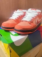 9.5US Nike Sb Dunk Low Sp Lobster 2