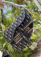 Christian Dior & Logo Saddle With & Dust 2