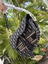 Christian Dior & Logo Saddle With & Dust 3