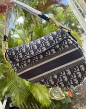 Christian Dior & Logo Saddle With & Dust 4