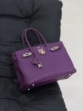Hermès — Hermès Birkin 30 Anemone — Handbag — resale