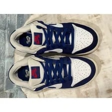 Nike SB Dunk Low LA Los Angeles Dodgers Size 7.5 DO9395-400 2