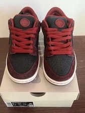 Nike Sb Dunk Low Pro QS Riot Skateshop FZ1289-200 Dark Beetroot 2