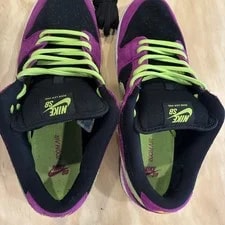 4456) Nike SB Dunk Low Pro ACG Terra BQ6817-501 ’s 4