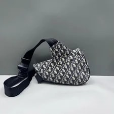 Dior Saddle Chest 2