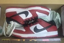 ’s Size 6 - Nike SB Dunk Low J-Pack 4