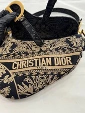 Dior Saddle Oriental Embroidery 2