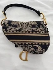 Dior Saddle Oriental Embroidery 4