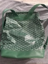 Goyard Cisalpin Backpack and Damaged 4