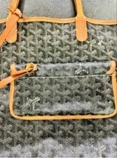 Goyard Saint Louis Pm Carry Everyday 4