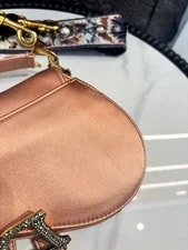 Dior Saddle Small Logo 20x15cm 2019 4