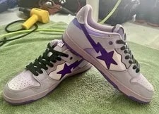 Bape Sk8 Low Dunks 2