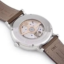IWC Portofino Complete Calendar IW359001 Brown 2