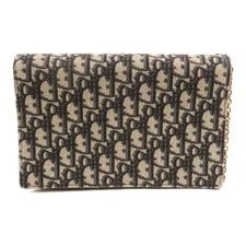 Christian Dior CD GHW Saddle Chain 2