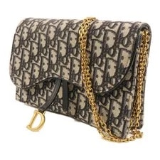 Christian Dior CD GHW Saddle Chain 3