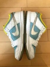 6.0US Ftc Nike Sb Dunk Low Public Bath Nik... 2