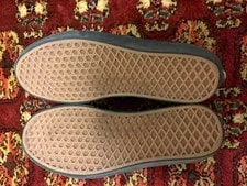 10.0US Extreme Vans 4