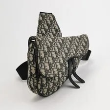 Dior Saddle 1ADPO248YKY_H27E 4