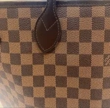 Louis Vuitton Neverfull Without Inner 3
