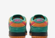 Nike SB Dunk LOW PRO Shoes HQ1625-301 2026 2