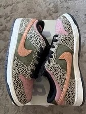 Nike SB Dunk Arts and Rec Low 2