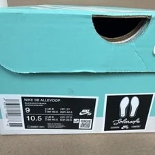 Nike Sb Alleyoop Shoes 2