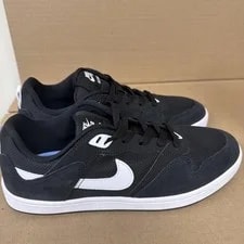 Nike Sb Alleyoop Shoes 4