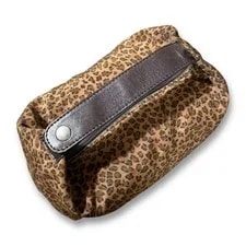 Bottega Veneta Vanity Authentic From Japan 4