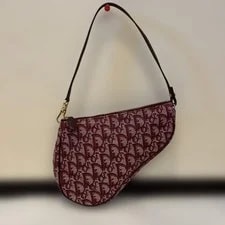 Christian Dior Trotter Saddle 722A 2