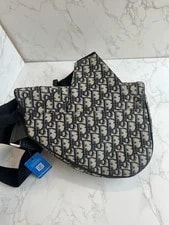 Dior Saddle Chest for 2