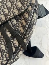 Dior Saddle Chest for 3
