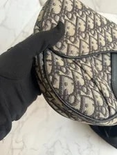 Dior Saddle Chest for 4