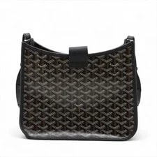 Goyard Musette & 2