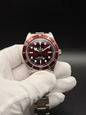 Tudor Black Bay 58 Burgundy Dial M7939A1A0RU-0002 3