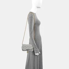 Dior Saddle D-Shaped Pendant Flap Crossbody Print #16NR 2