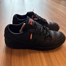 8.0US Nike Sb Dunk Low Pro Iso 2