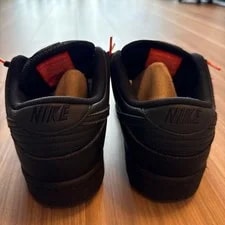 8.0US Nike Sb Dunk Low Pro Iso 3
