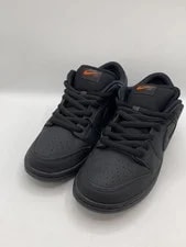 10.5US Nike Sb Dunk Low Pro Iso /Low Cut / /Fj1674-001 2